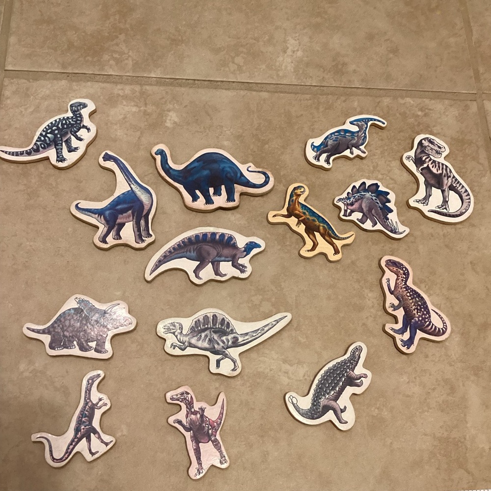 Old Dinosaur Magnets